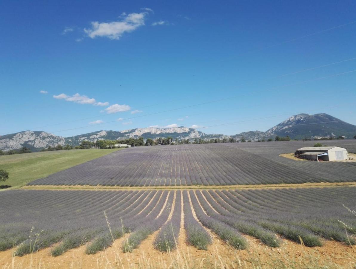 Le Clos En Provence Flayosc Εξωτερικό φωτογραφία
