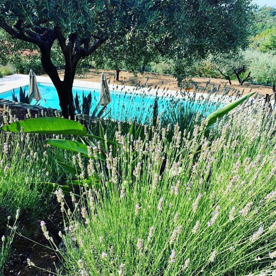 Le Clos En Provence Flayosc Εξωτερικό φωτογραφία