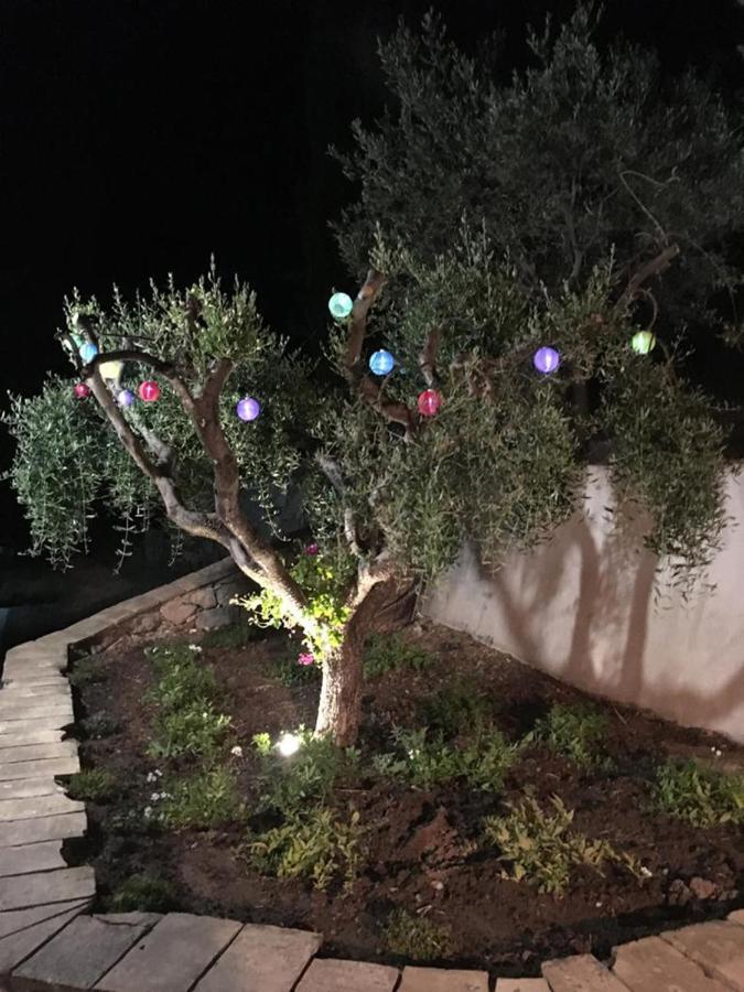 Le Clos En Provence Flayosc Εξωτερικό φωτογραφία